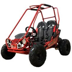 Trailmaster Mini XRX+ 2- Seater GO-KART EAGLE SERIES 163cc Blues - Image 1